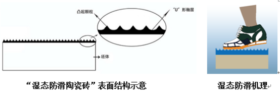 香蕉视频1024瓷砖香蕉视频APP黄污下载观看“湿态防滑陶瓷砖”机理结构图