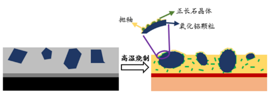 湿态防滑陶瓷砖“三级结构”示意图